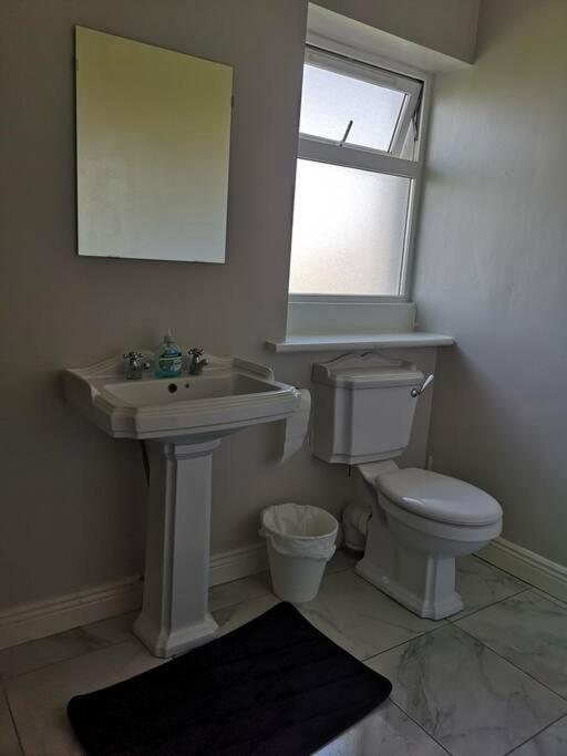 Spacious And Warm 2 Bedroom Apartment Sleeps Up To 5 Athy Eksteriør billede